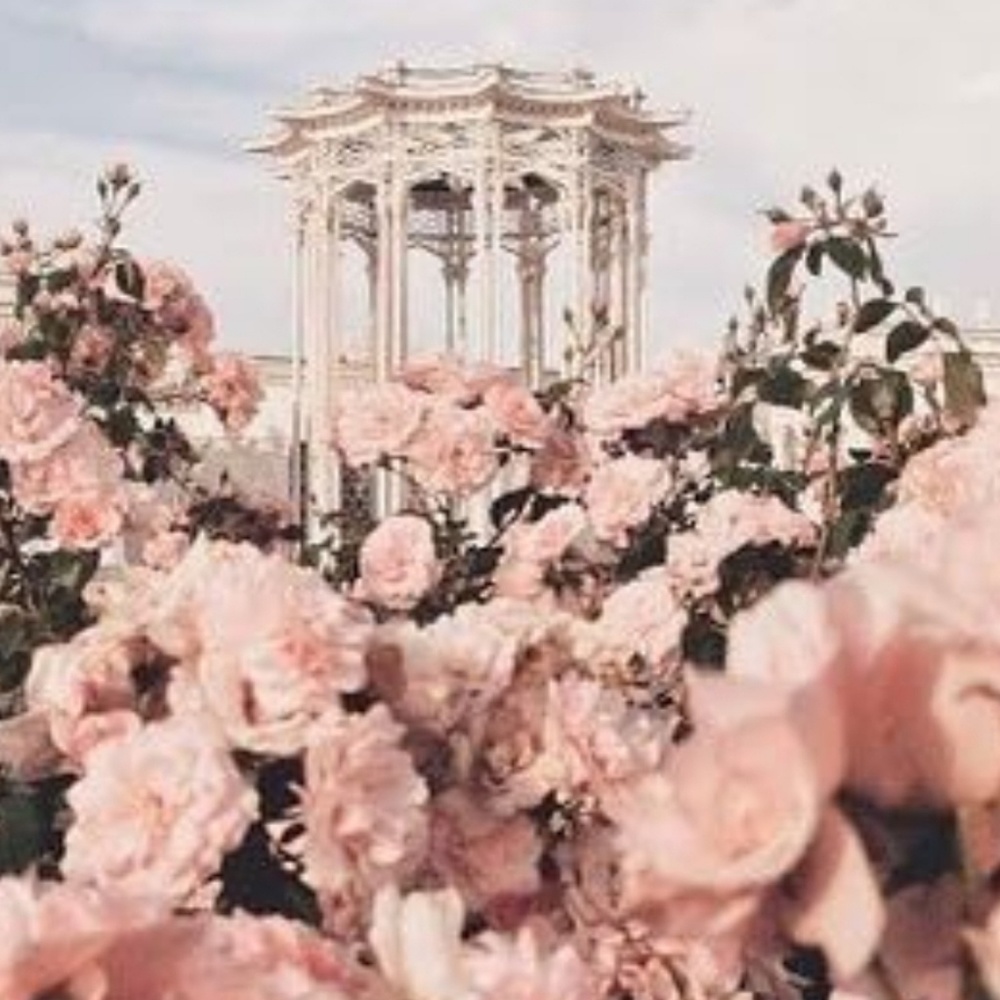 Meet your Posher, Kelly